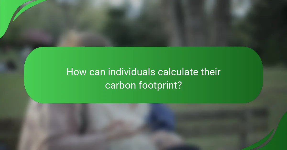 How can individuals calculate their carbon footprint?