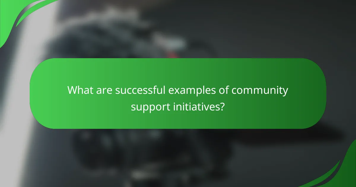 What are successful examples of community support initiatives?