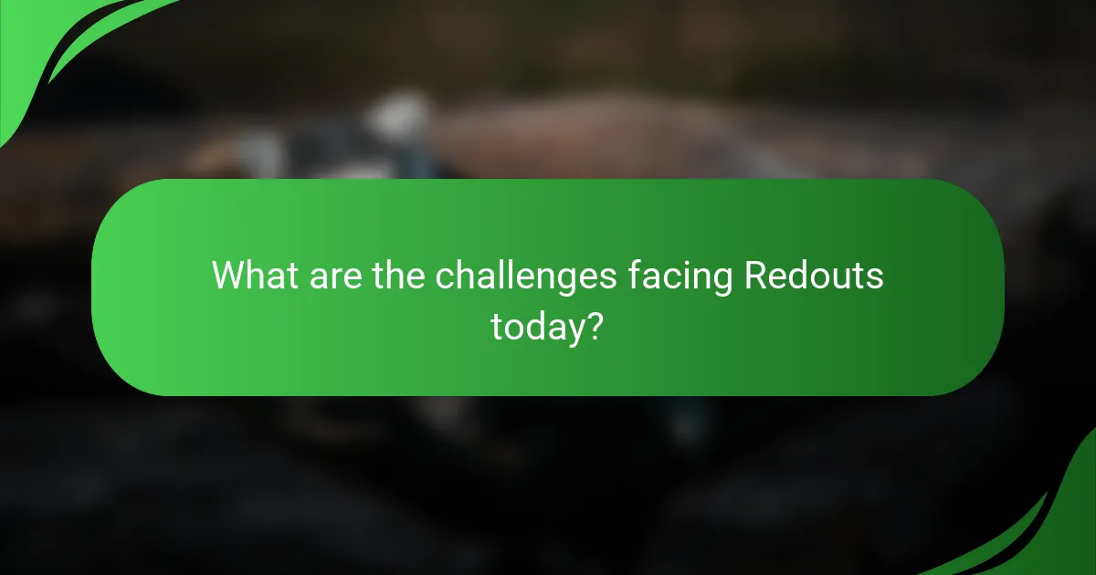 What are the challenges facing Redouts today?